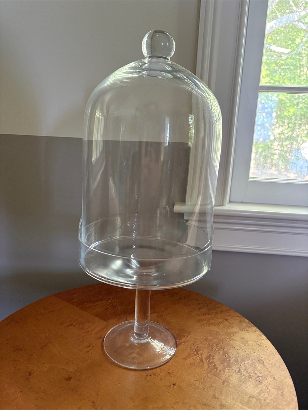 Glass Bell Jar on Pedestal - Clear Display Dome.